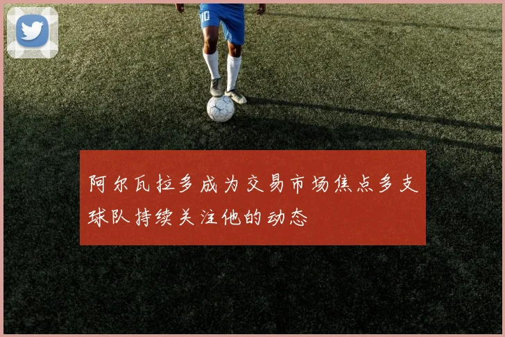 阿尔瓦拉多成为交易市场焦点多支球队持续关注他的动态
