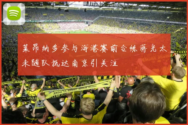 莱昂纳多参与海港赛前合练蒋光太未随队抵达南京引关注