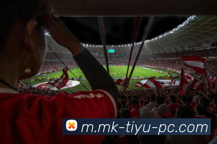 多媒体互动体验